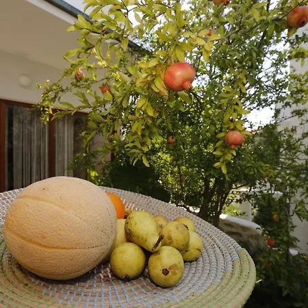 Villa Franka Rab ראב